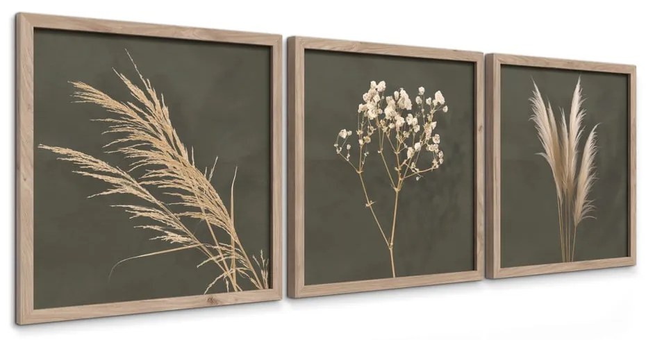 Tablouri 3 buc. 30x30 cm Pampas – Styler