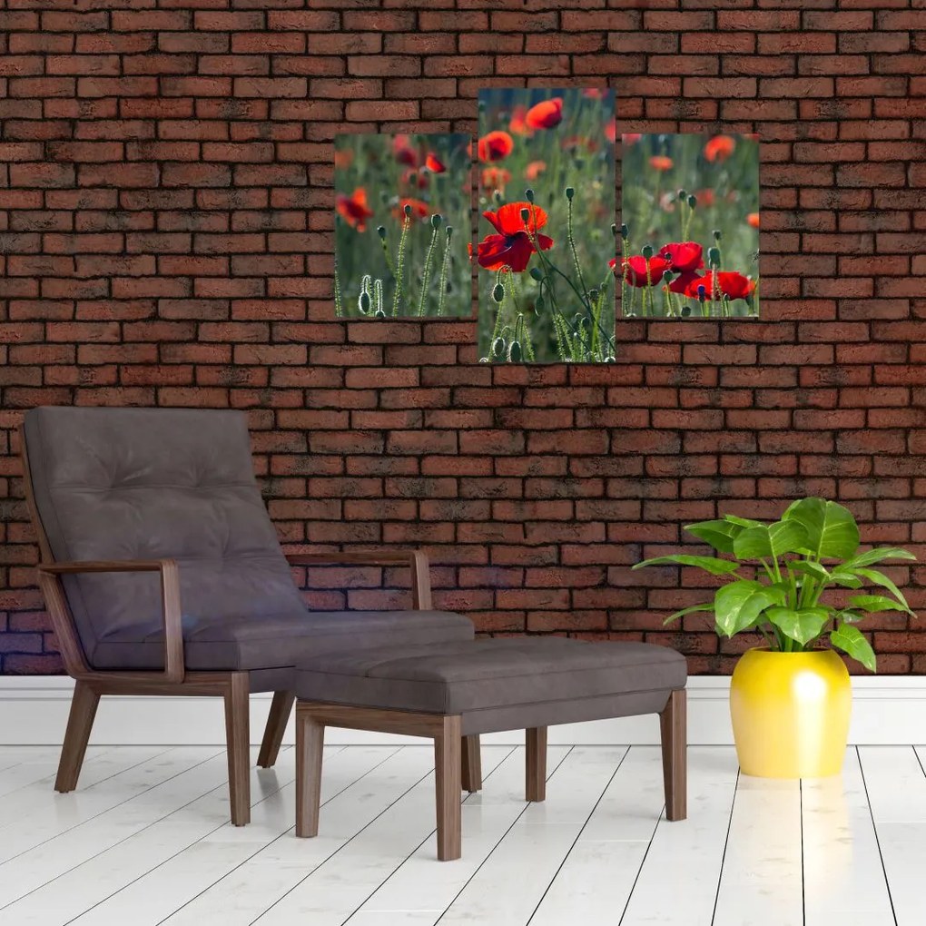 Tablou - Lunca cu maci (90x60 cm)