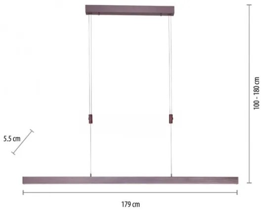 Lustră LED dimabilă pe cablu Paul Neuhaus 2568-24 ADRIANA LED/14W/230V