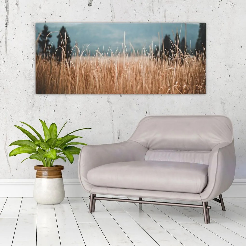 Tablou - detaliu spațiului de luncă (120x50 cm)