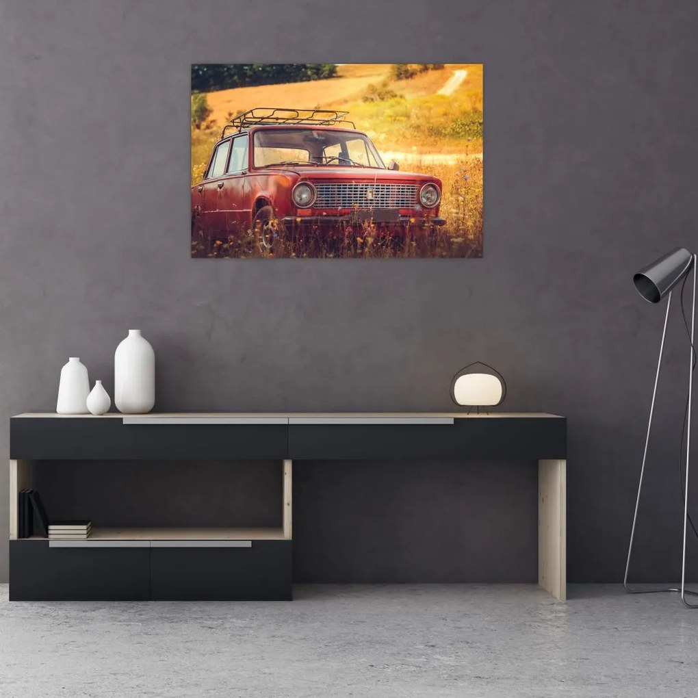 Tablou cu mașină în câmp (90x60 cm)