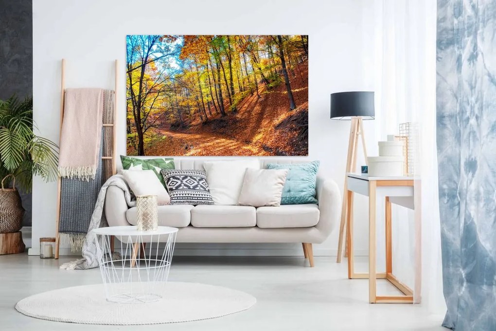 Tablou canvas Peisaj prin padure toamna - 40x30 cm