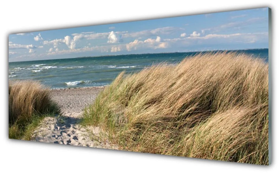 Tablou pe sticla Marea potecă Iarbă Peisaj Maro Albastru Verde