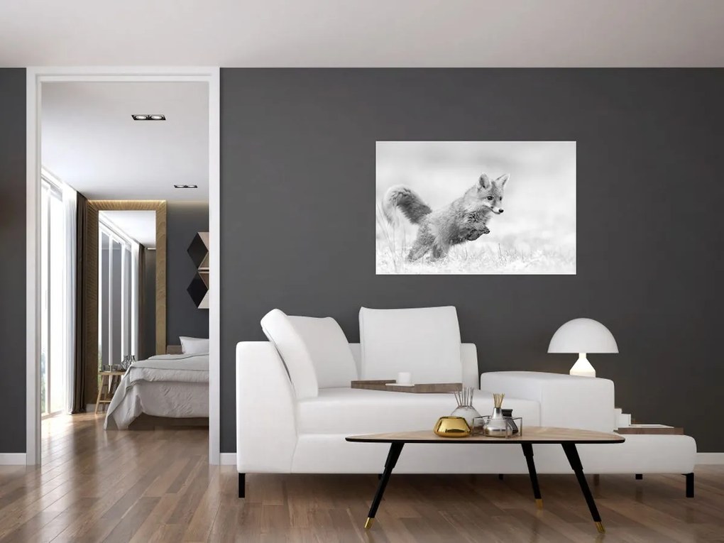 Tablou - Vulpe care sare,alb-negru (90x60 cm)