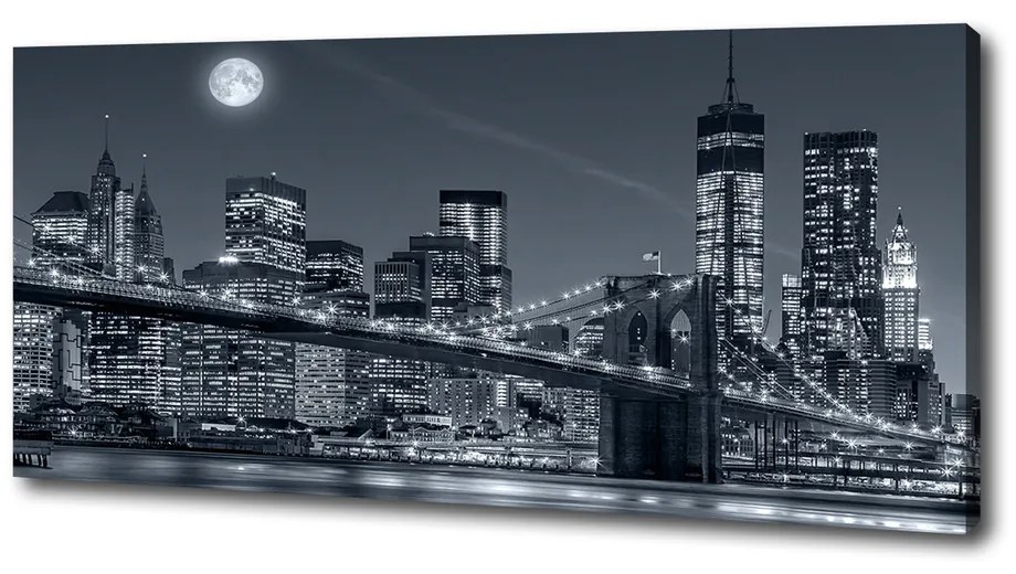 Tablou pe pânză canvas Manhattan new york city