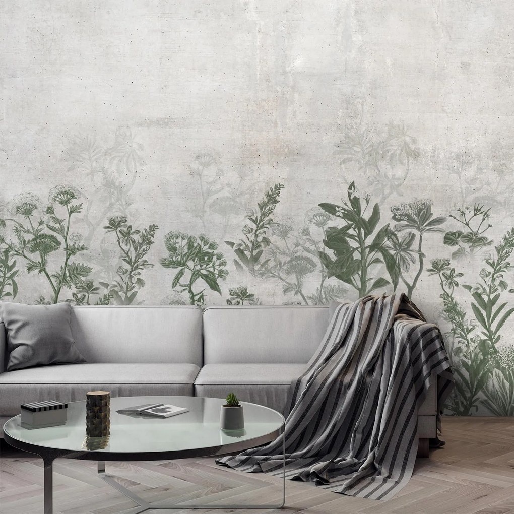 Fototapet - Plante în beton (147x102 cm)