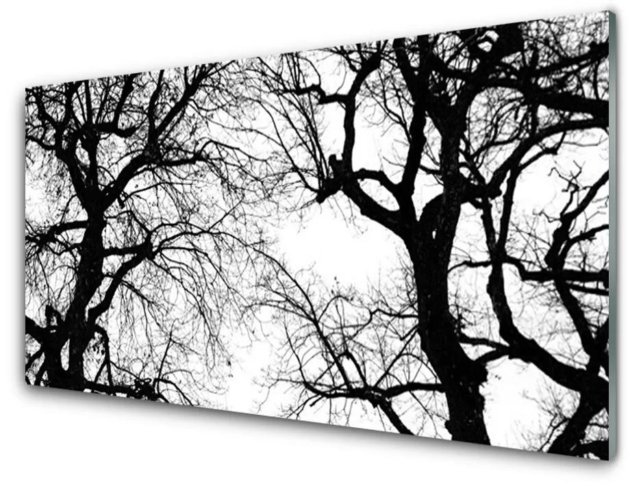 Tablouri acrilice Copaci Natura negru