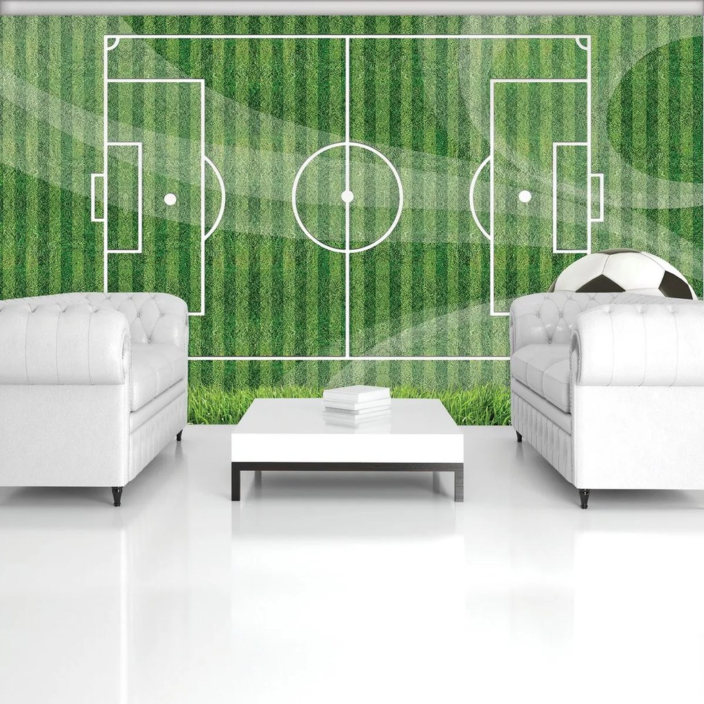 Fototapet - Teren de fotbal (254x184 cm)