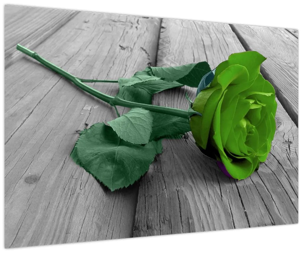 Tablou - Trandafir verde (90x60 cm)