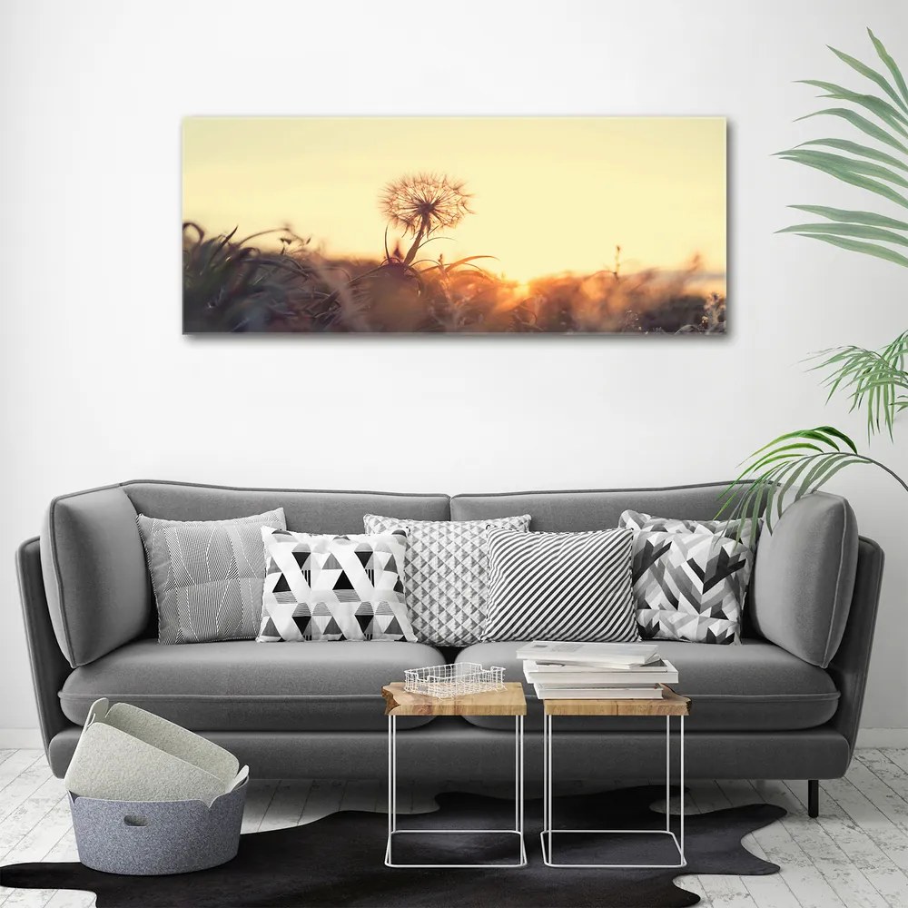 Tablou pe pânză canvas Păpădie