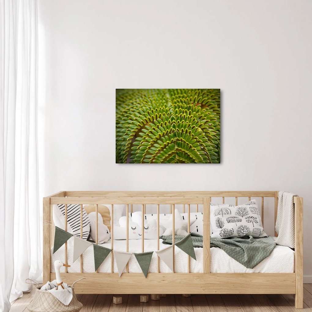 Tablou - Fern (70x50 cm)