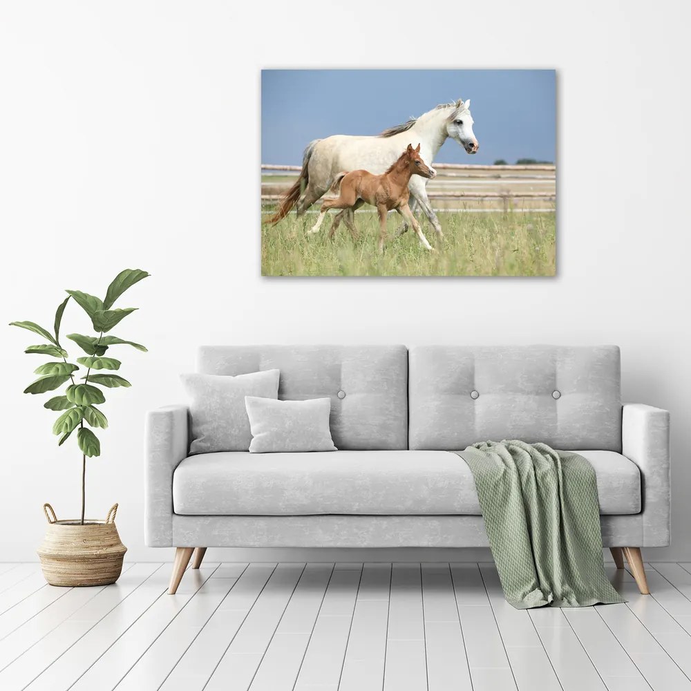 Print pe canvas Mare cu mânz