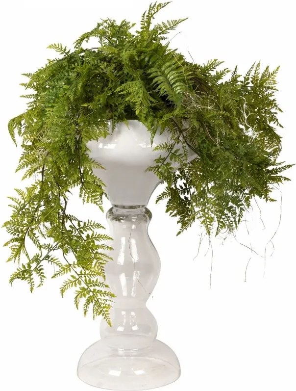 Aranjament floral mare ZEUS FERN ROOTS BALL