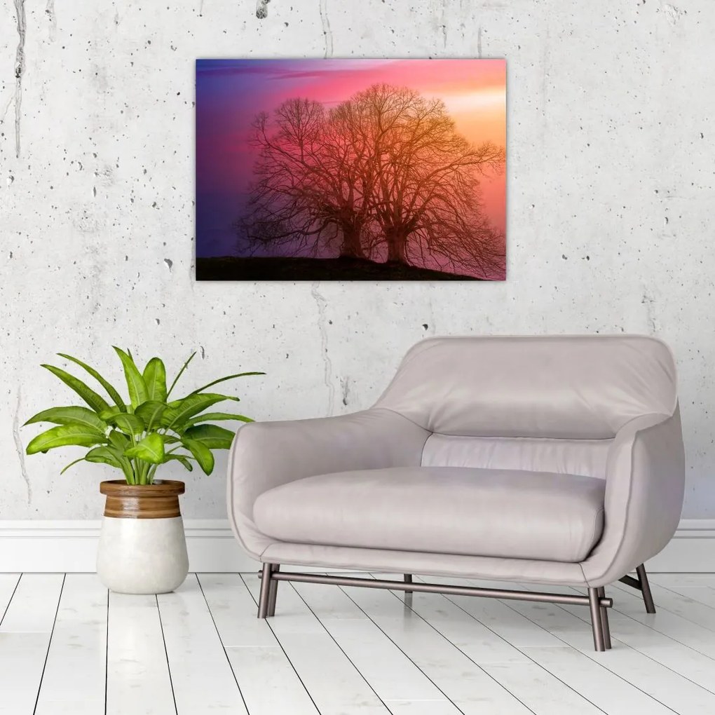 Tablou pe sticlă pomilor în ceață (70x50 cm)