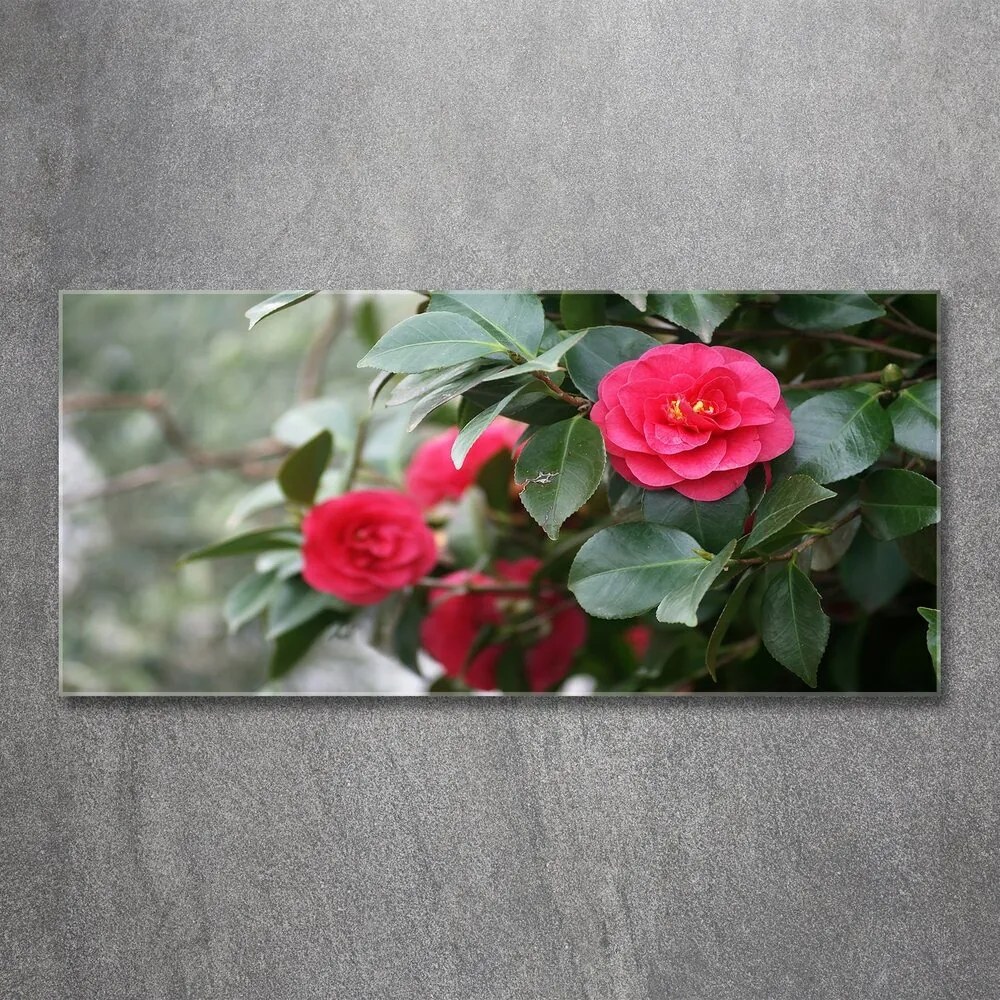 Pictura pe sticlă acrilică Camelia