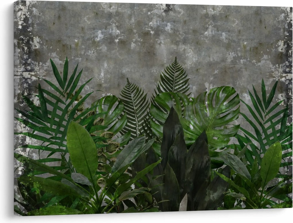 Tablou - Zid de beton cu plante (70x50 cm)