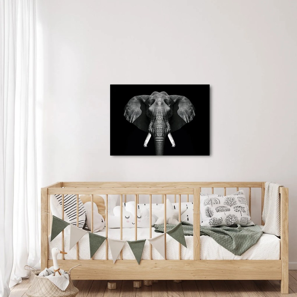 Tablou - Elefant pe fundal negru (70x50 cm)