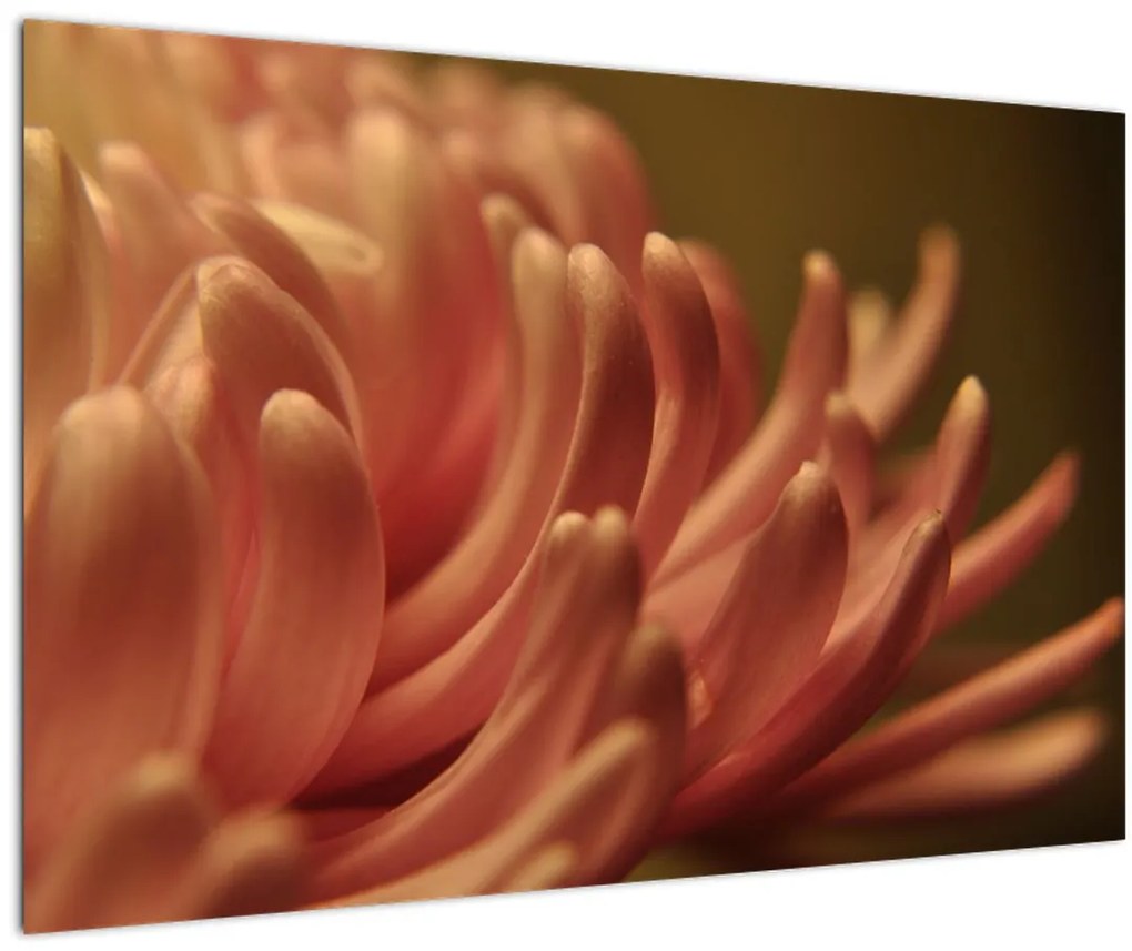Tablou cu detailu florii (90x60 cm)