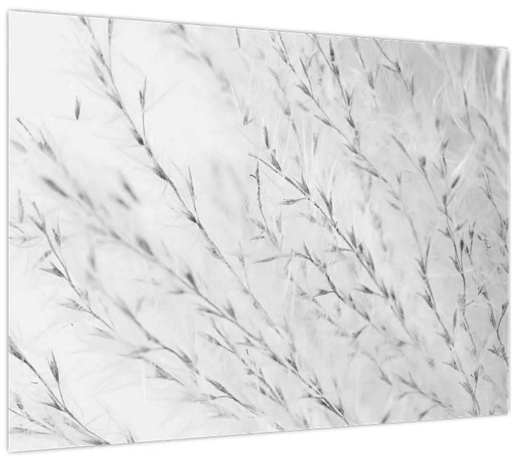 Tablou pe sticlă - Iarbă de pampas N⁰2 (70x50 cm)