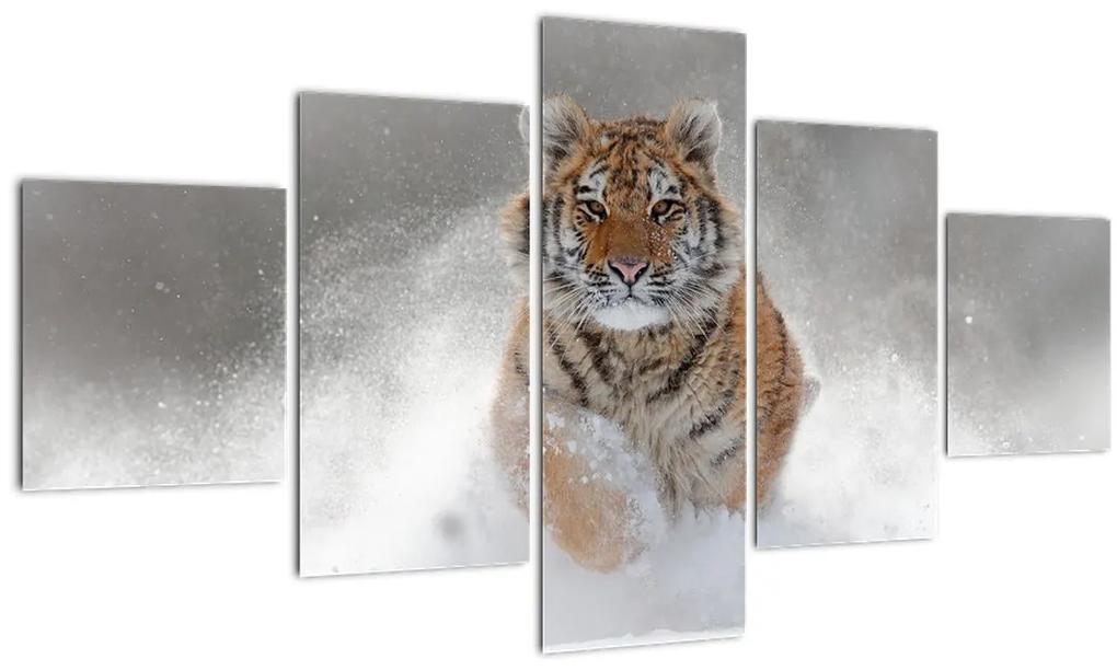 Tablou cutigru fugind prin zăpadă (125x70 cm), în 40 de alte dimensiuni noi