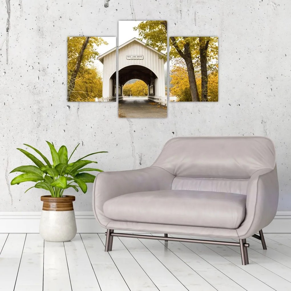 Tablou cu podul în Oregon (90x60 cm)