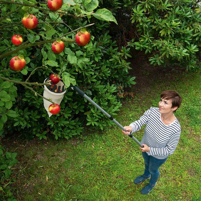 Dispozitiv de cules fructe cu mâner telescopic