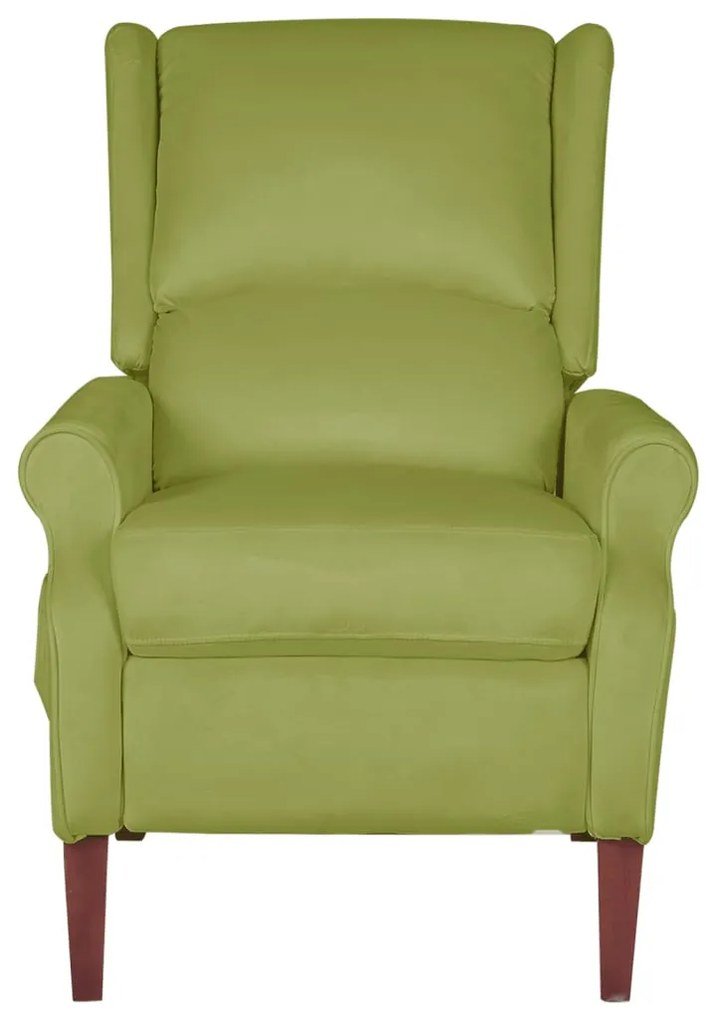 329293 vidaXL Fotoliu de masaj rabatabil, verde deschis, catifea