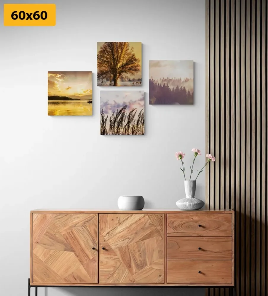 Set tablouri frumusețile naturale