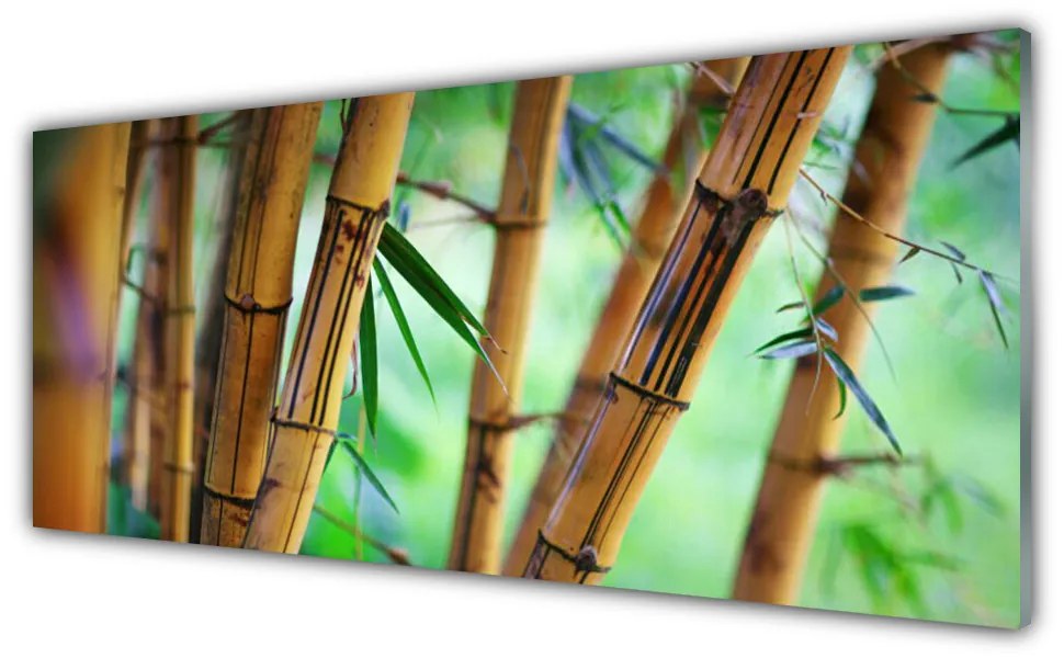 Tablouri acrilice Bamboo Natura Galben