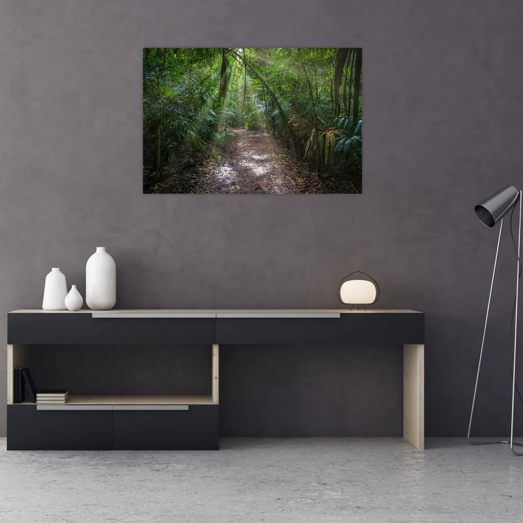 Tablou - Razele solare în junglă (90x60 cm)