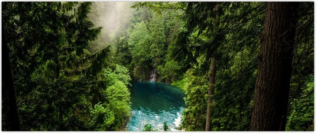 Tablou - Fereastra între copaci (120x50 cm)