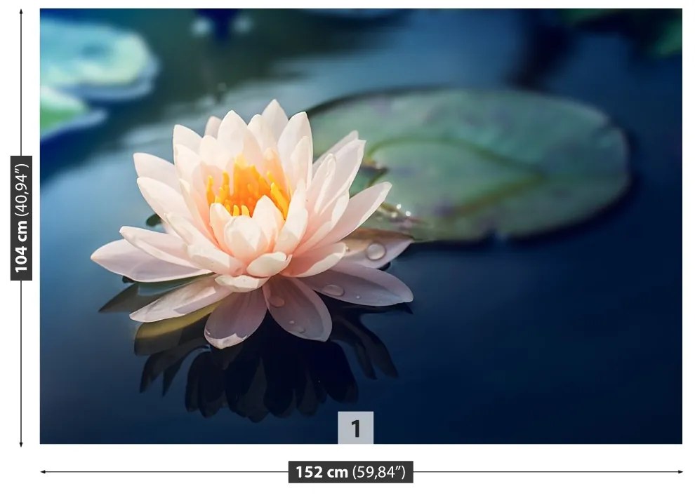 Fototapet Lotus Flower Pond