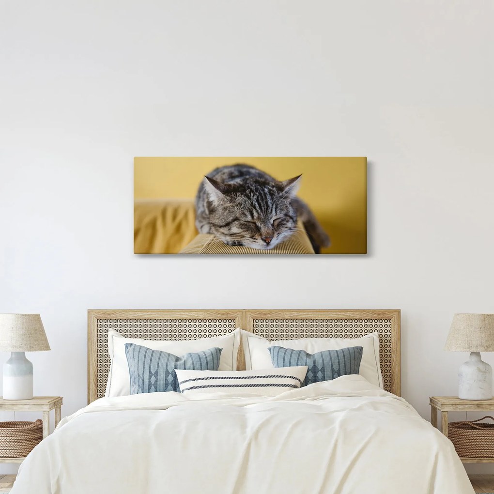 Tablou cu pisica pe fotoliu (120x50 cm)