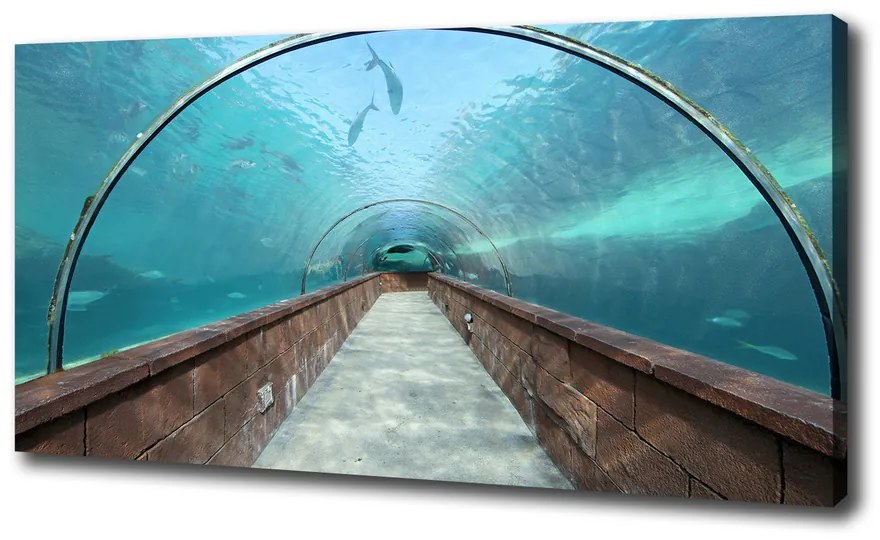 Print pe canvas Acvariul tunel
