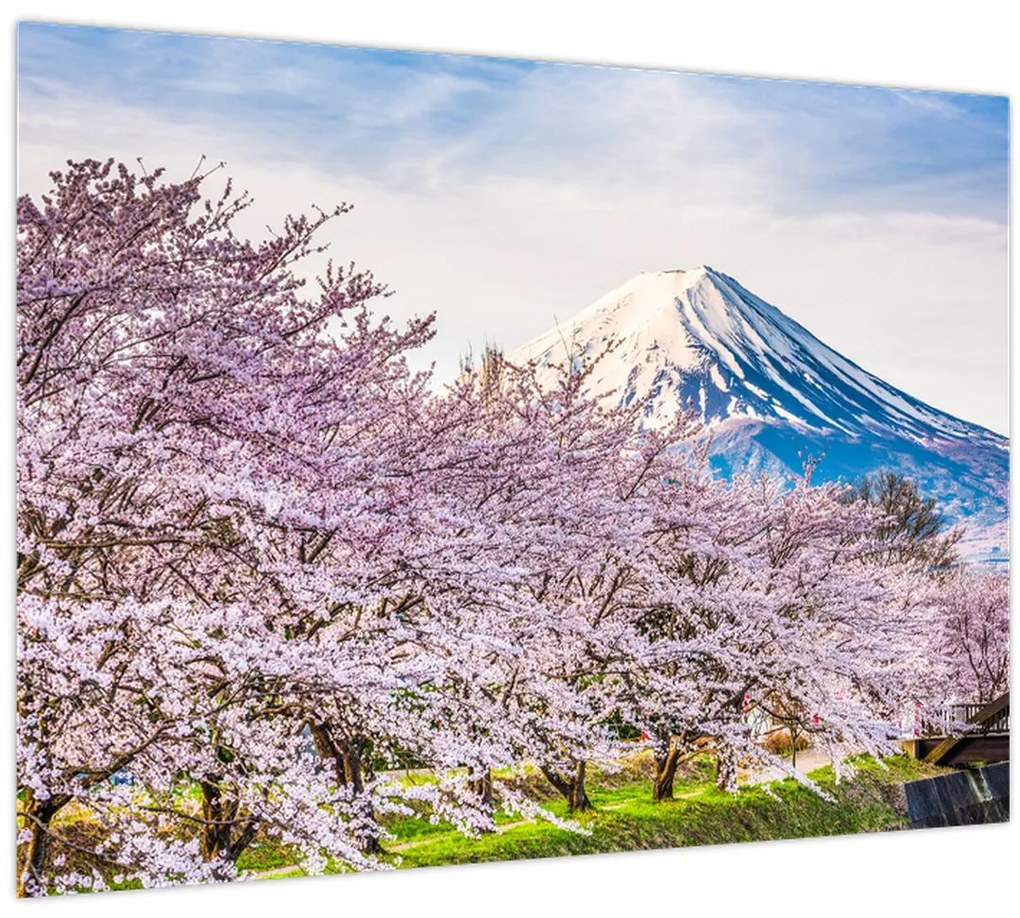 Tablou pe sticlă - Japonia în primăvară (70x50 cm)