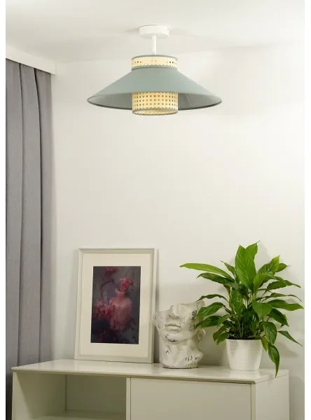 Lustră aplicată RIO Duolla RATTAN 1xE27/15W/230V d. 45 cm verde/ratan