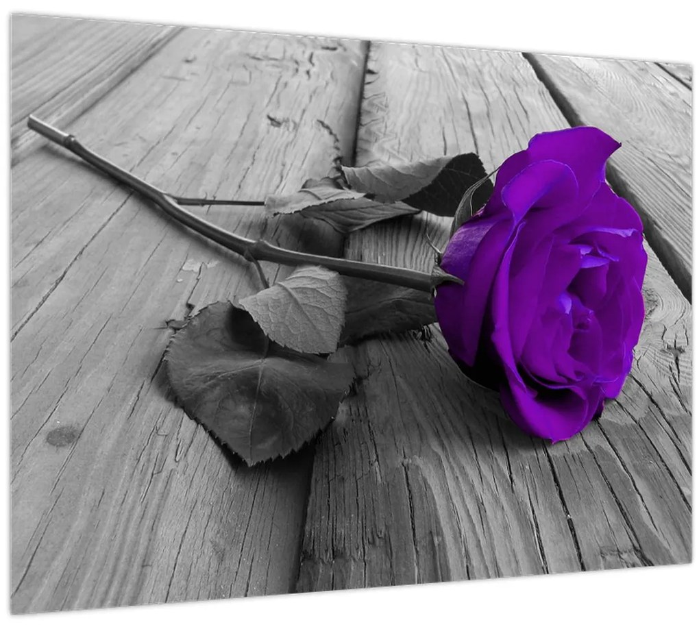 Tablou pe sticlă - Trandafir violet cu tulpina verde (70x50 cm)