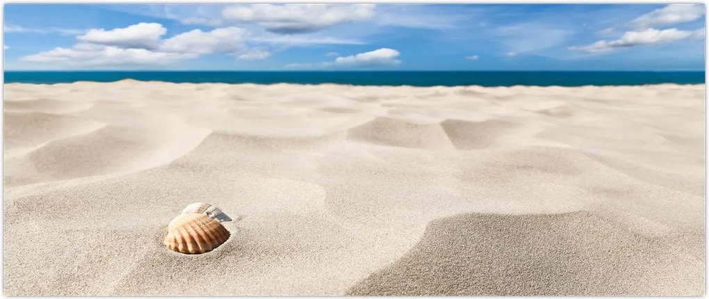 Tablou - Scoici pe plajă (120x50 cm)