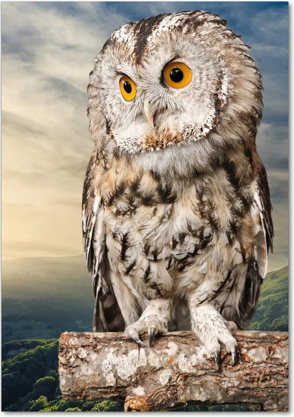 Tablou acrilic Owl pe deal