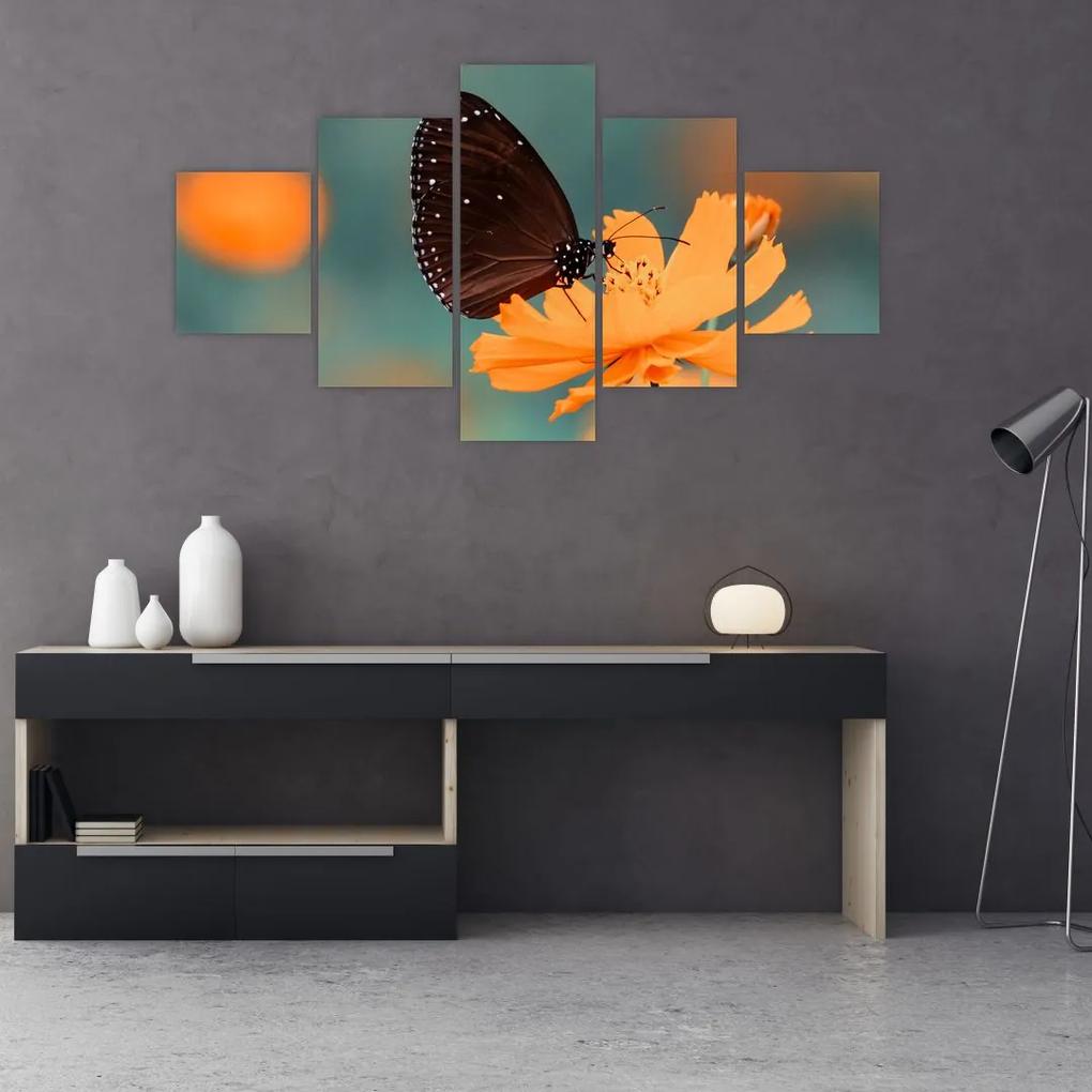 Tablou - fluture pe o floare portocalie (125x70 cm), în 40 de alte dimensiuni noi
