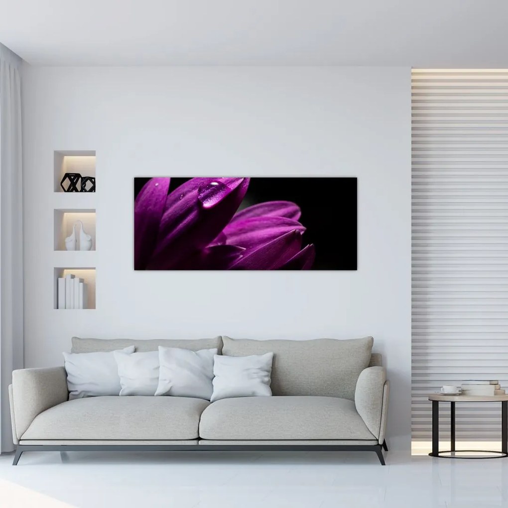 Tablou - Picătura de apă (120x50 cm)