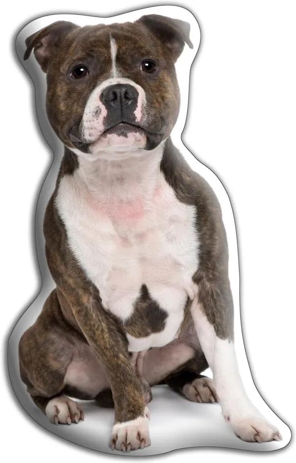 Pernă cu imprimeu Adorable Cushions Staffordshire Bull Terrier