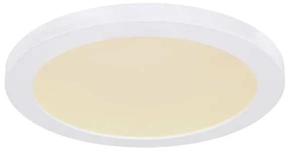 Plafonieră LED Globo 12379-24W LASSE LED/24W/230V