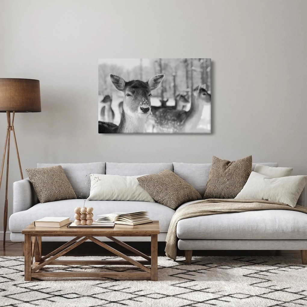 Tablou - Cerbi,alb-negru (90x60 cm)