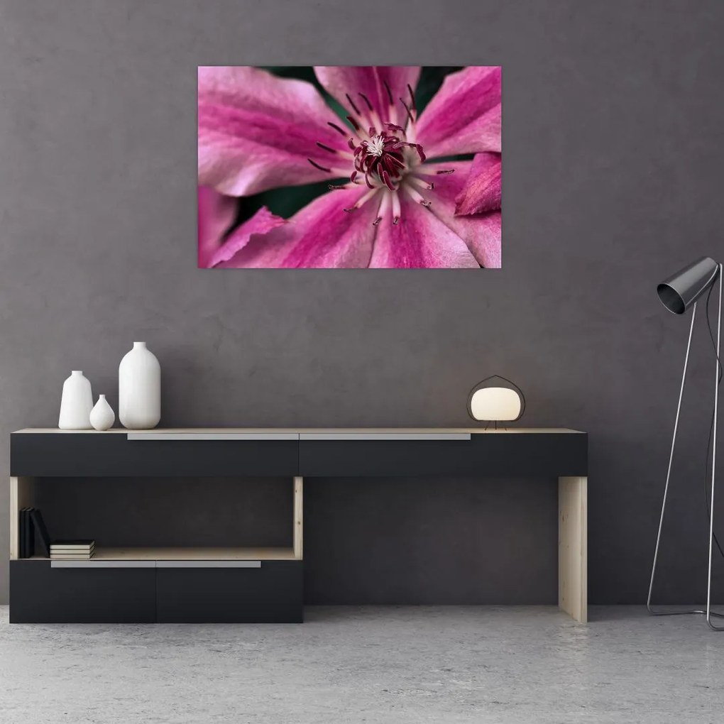 Tablou cu floarea roz de clematis (90x60 cm)