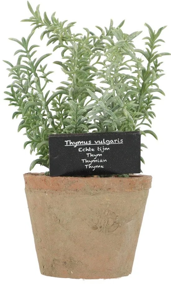 Plantă artificială (înălțime 21,5 cm) Thyme – Esschert Design