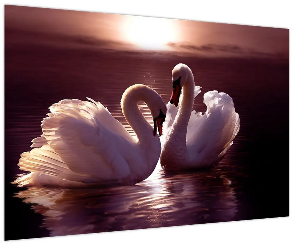 Tablou - Lebede pe lac (90x60 cm)