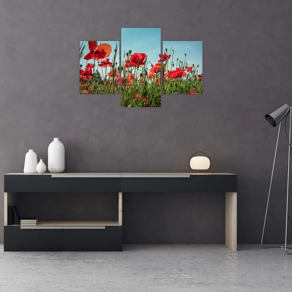 Tablou - Pe câmpul cu maci (90x60 cm)