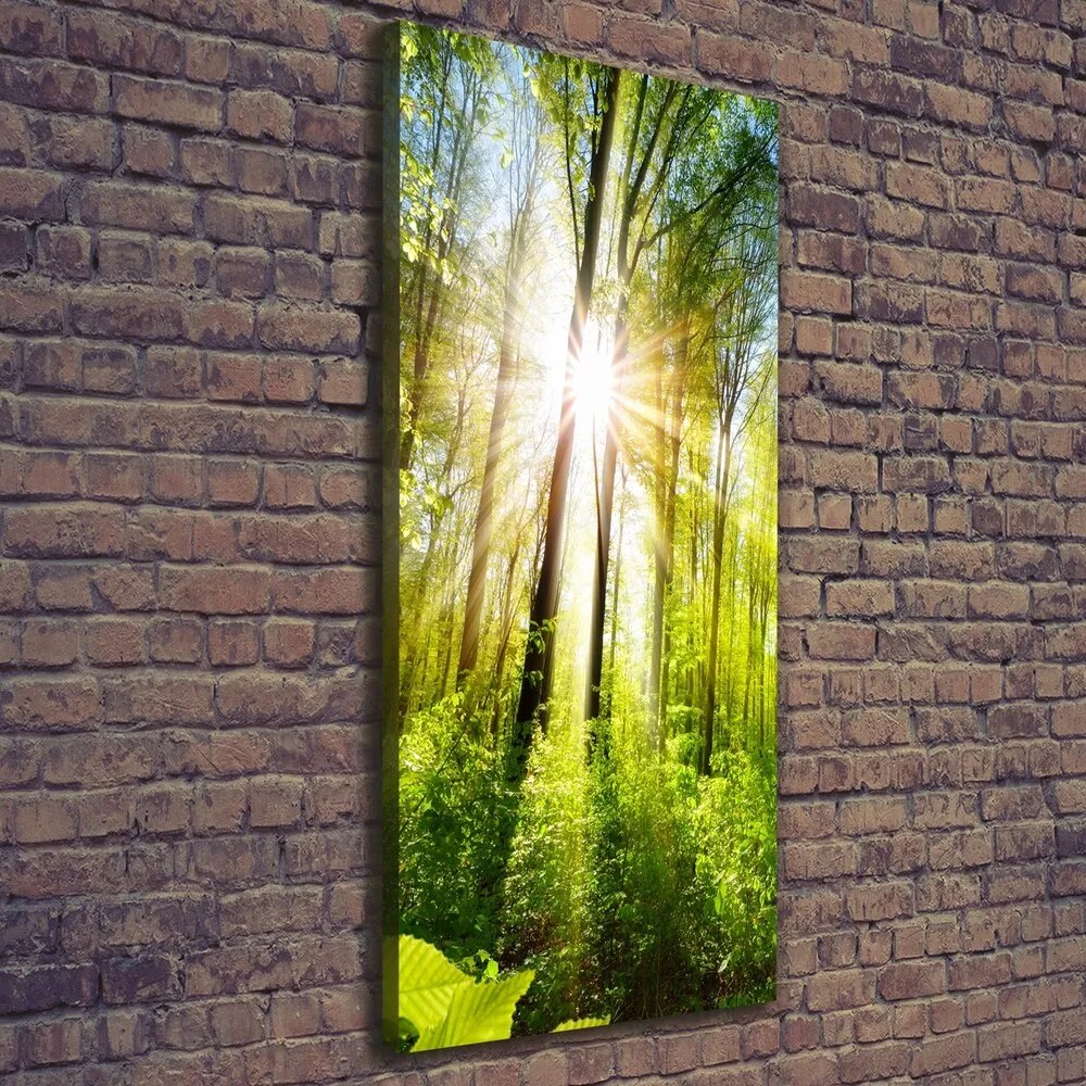 Tablou pe pânză canvas Soare în pădure