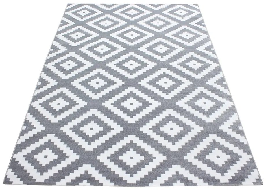 Covor gri deschis 120x170 cm Plus – Ayyildiz Carpets